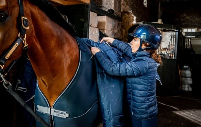 HORSEWARE DRY LINER