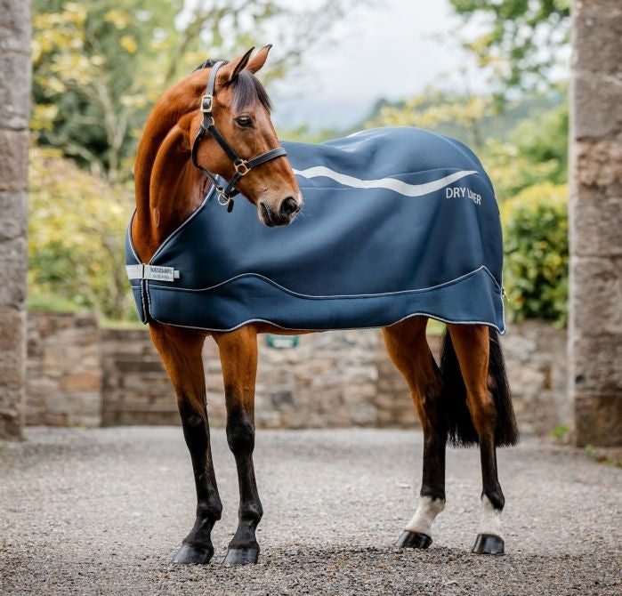 HORSEWARE DRY LINER