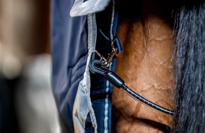 HORSEWARE DRY LINER