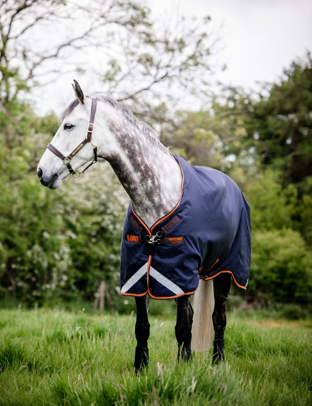 🔖RAMBO ® ORIGINAL 100G TURNOUT WITH 0G DETACHABLE NECK
