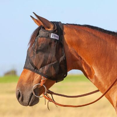 CASHEL QUIET RIDE - FLY PROTECTION YOU CAN RIDE IN