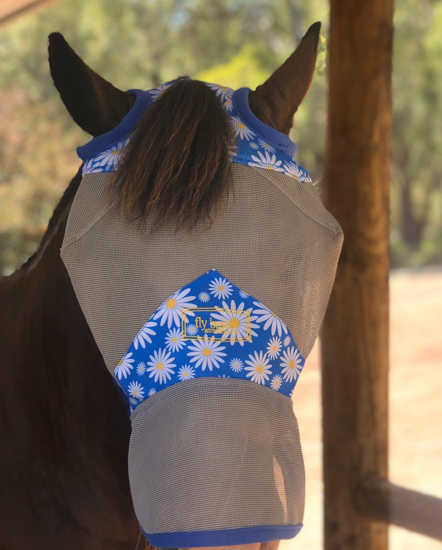 CASHEL & FLY BUSTER FLY MASKS FOR PONIES, FOALS, WEANLINGS & YEARLINGS