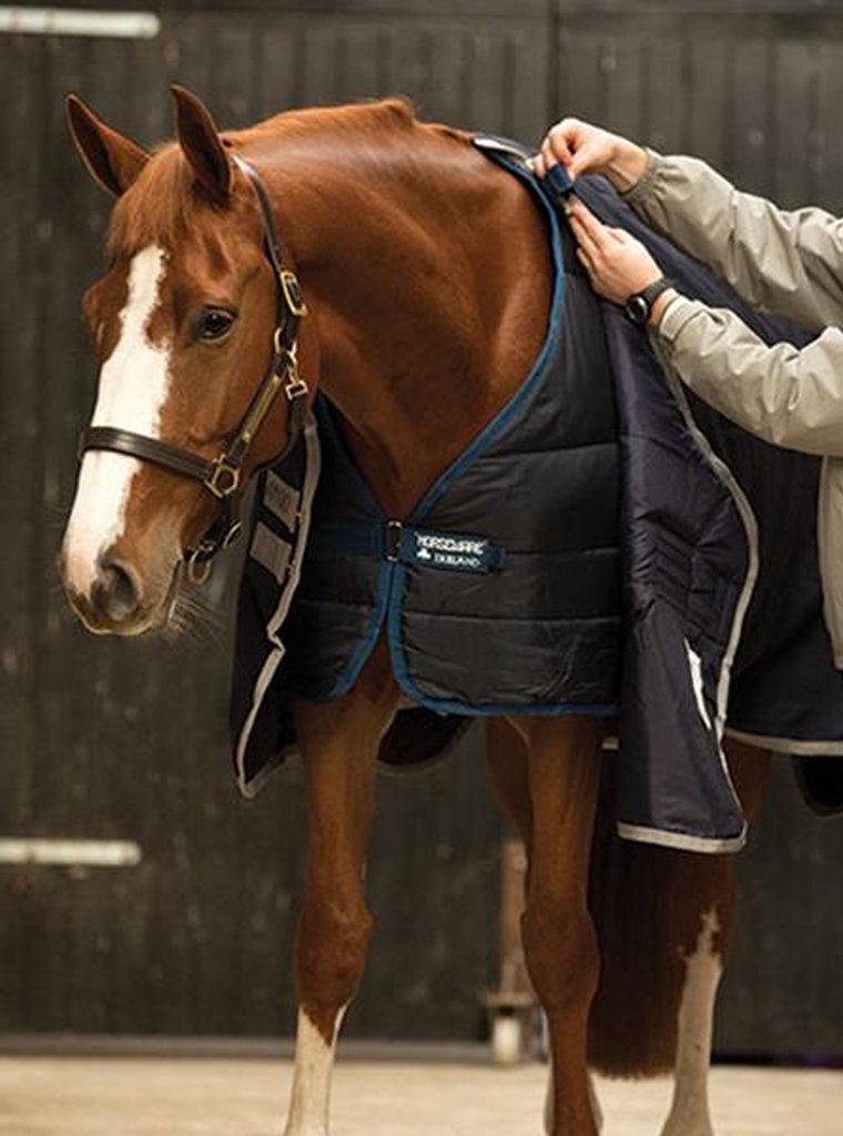 HORSEWARE LINER 100G