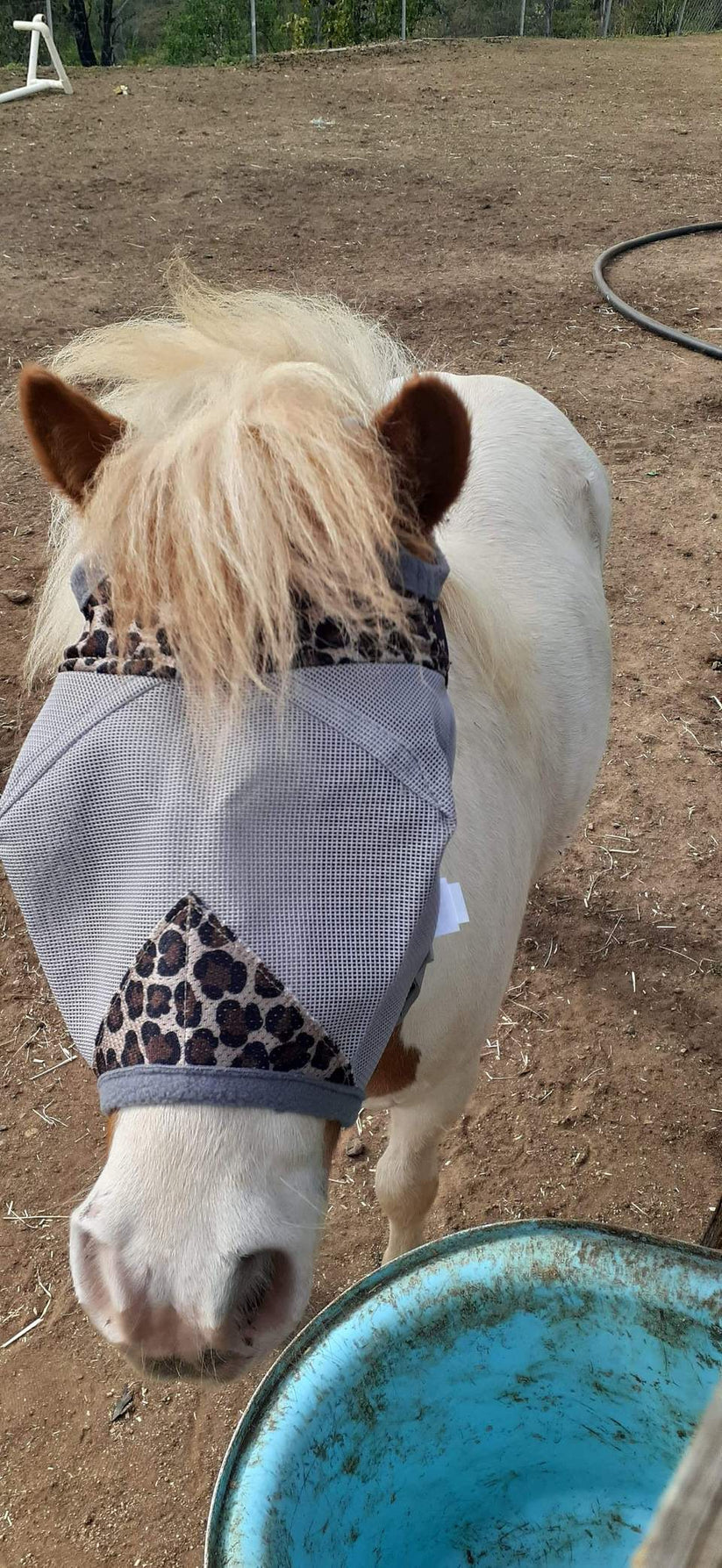 CASHEL & FLY BUSTER FLY MASKS FOR PONIES, FOALS, WEANLINGS & YEARLINGS