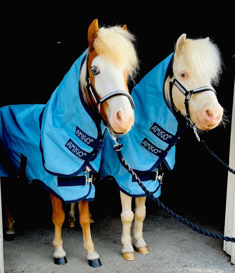 PONY RUGS FOR MINI, SMALL & LARGE PONIES – ZENN EQUINE - Hard As Nails ...