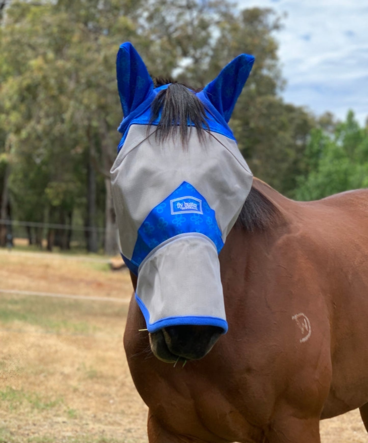 CASHEL & FLY BUSTER FLY MASKS FOR PONIES, FOALS, WEANLINGS & YEARLINGS