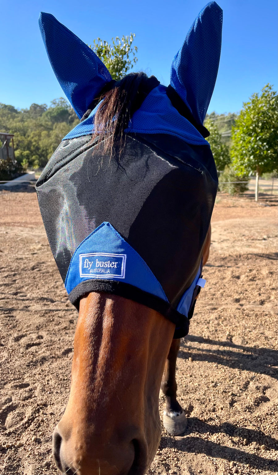 CASHEL CRUSADER & FLY BUSTER FLY MASKS FOR COB, HORSE, WB & DRAFT