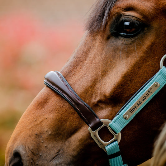 🔖Horseware Signature Competition Headcollar