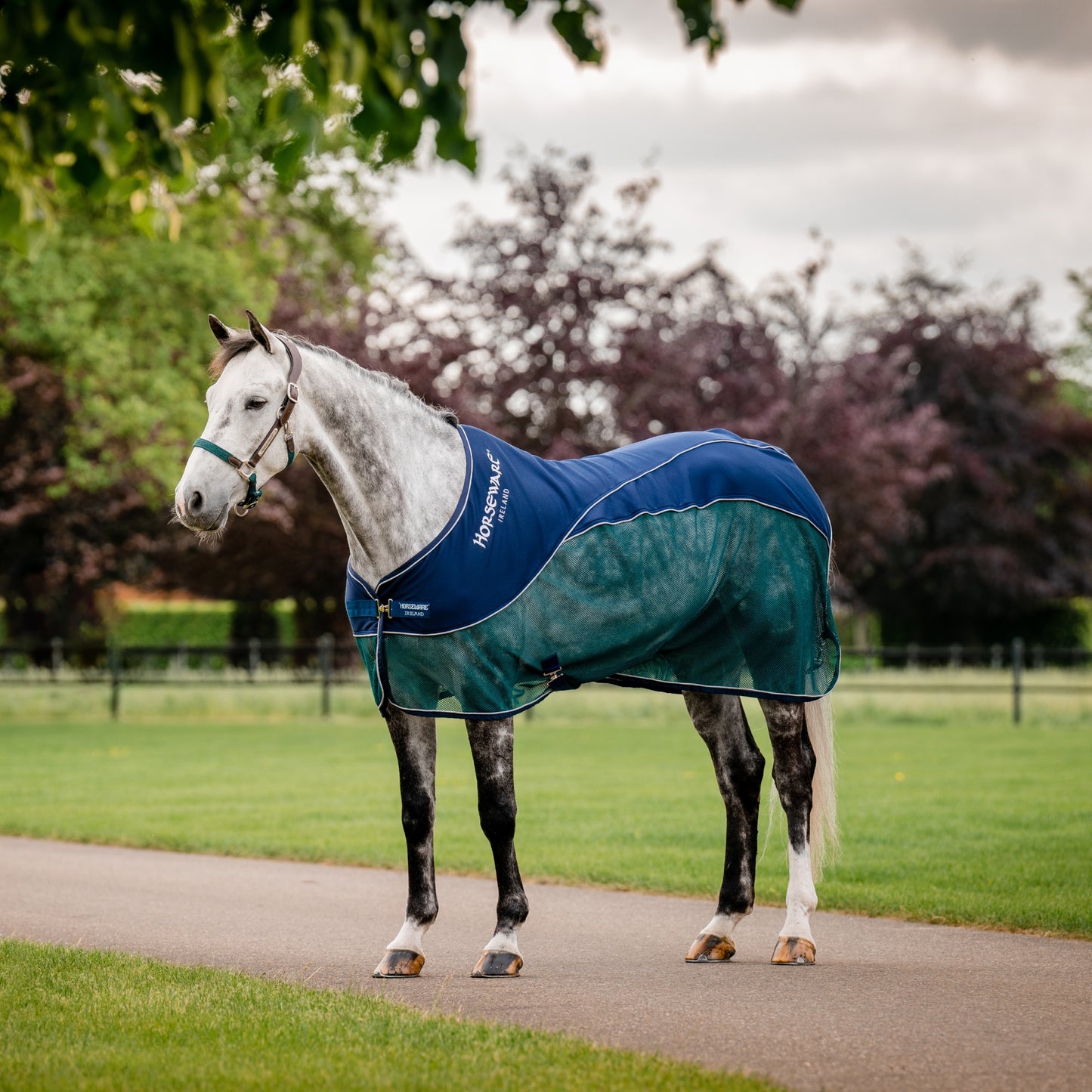 Horseware Ireland Signature Cooler