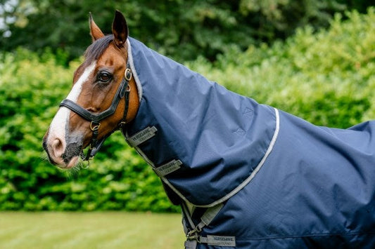 Amigo Bravo 12 XL Neck Rug 0G