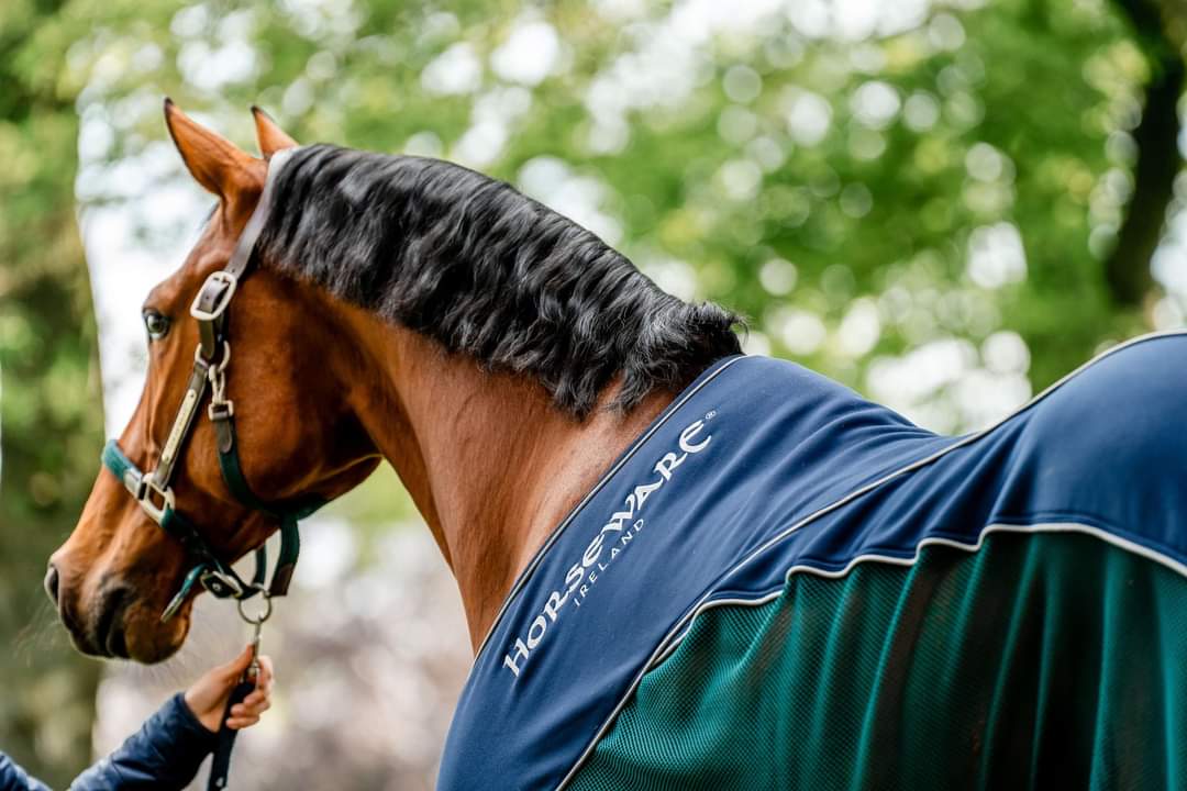 Horseware Ireland Signature Cooler