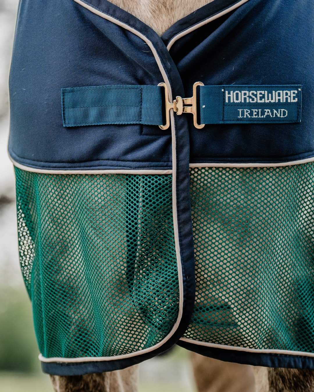 Horseware Ireland Signature Cooler