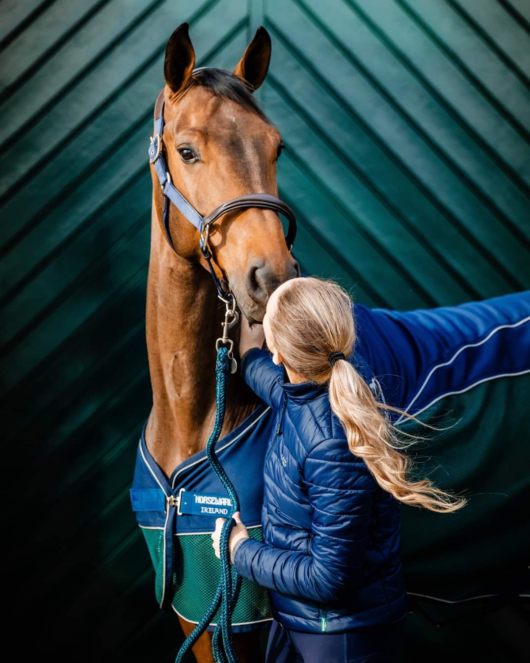 Horseware Ireland Signature Cooler