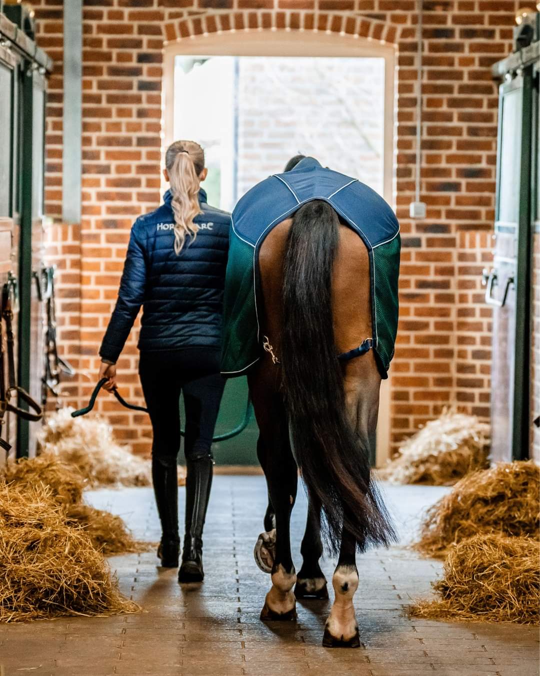 Horseware Ireland Signature Cooler