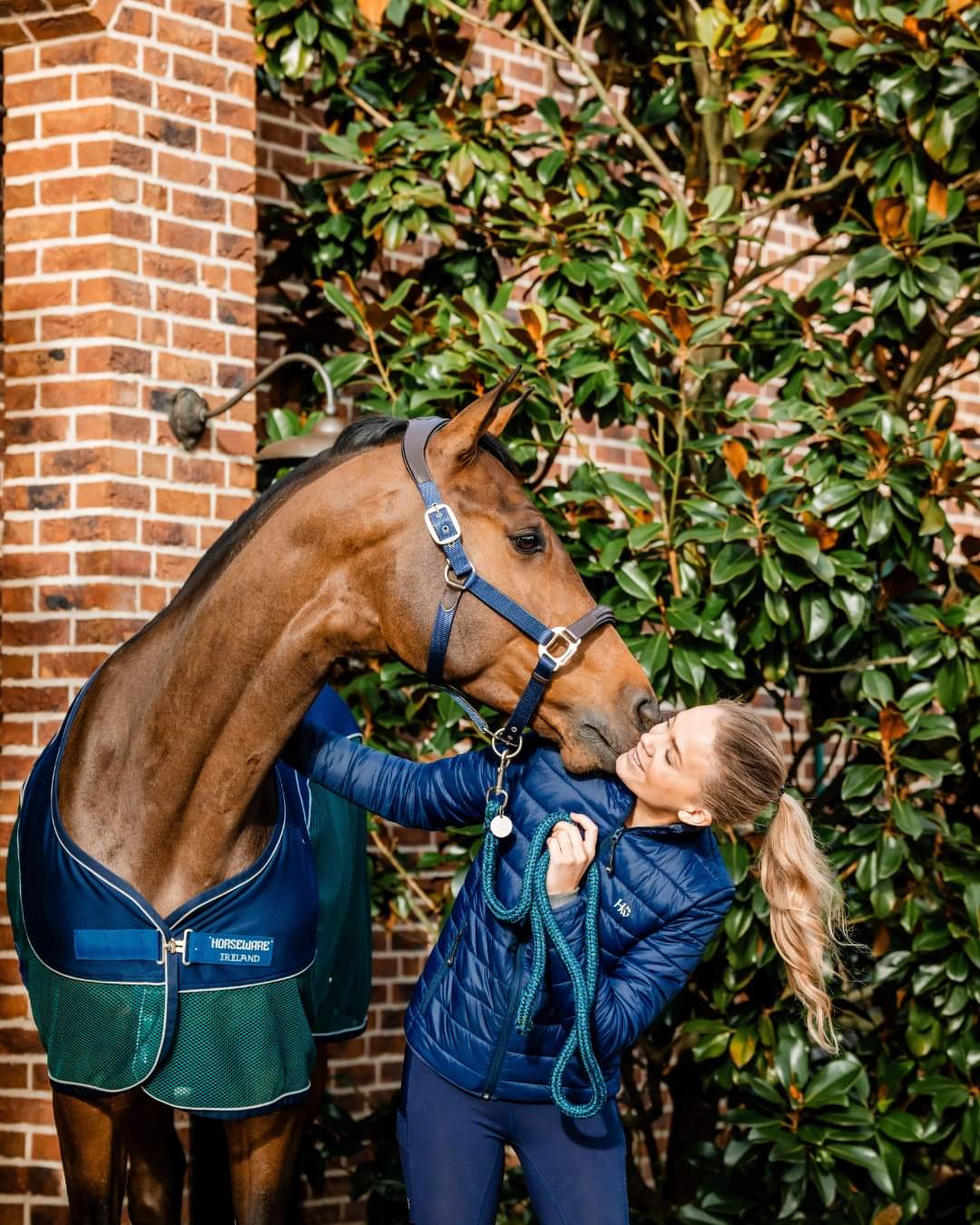 Horseware Ireland Signature Cooler