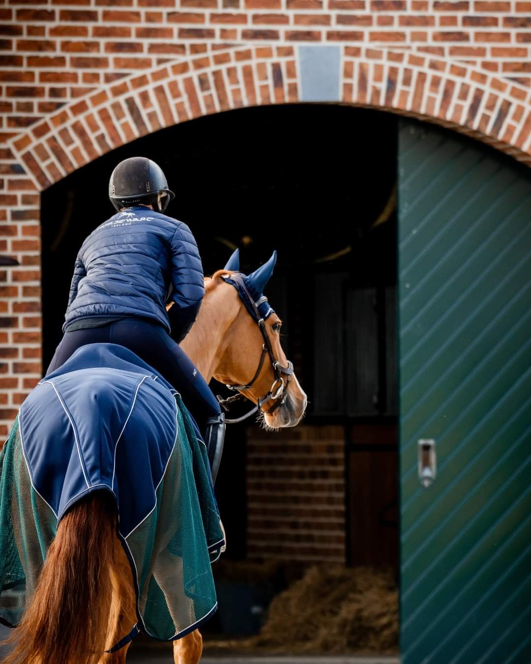 Horseware Ireland Signature Cooler