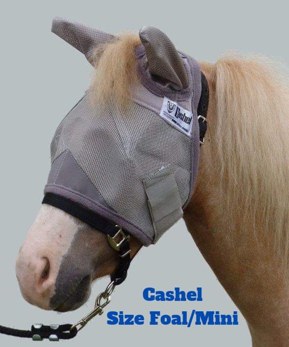 CASHEL & FLY BUSTER FLY MASKS FOR PONIES, FOALS, WEANLINGS & YEARLINGS