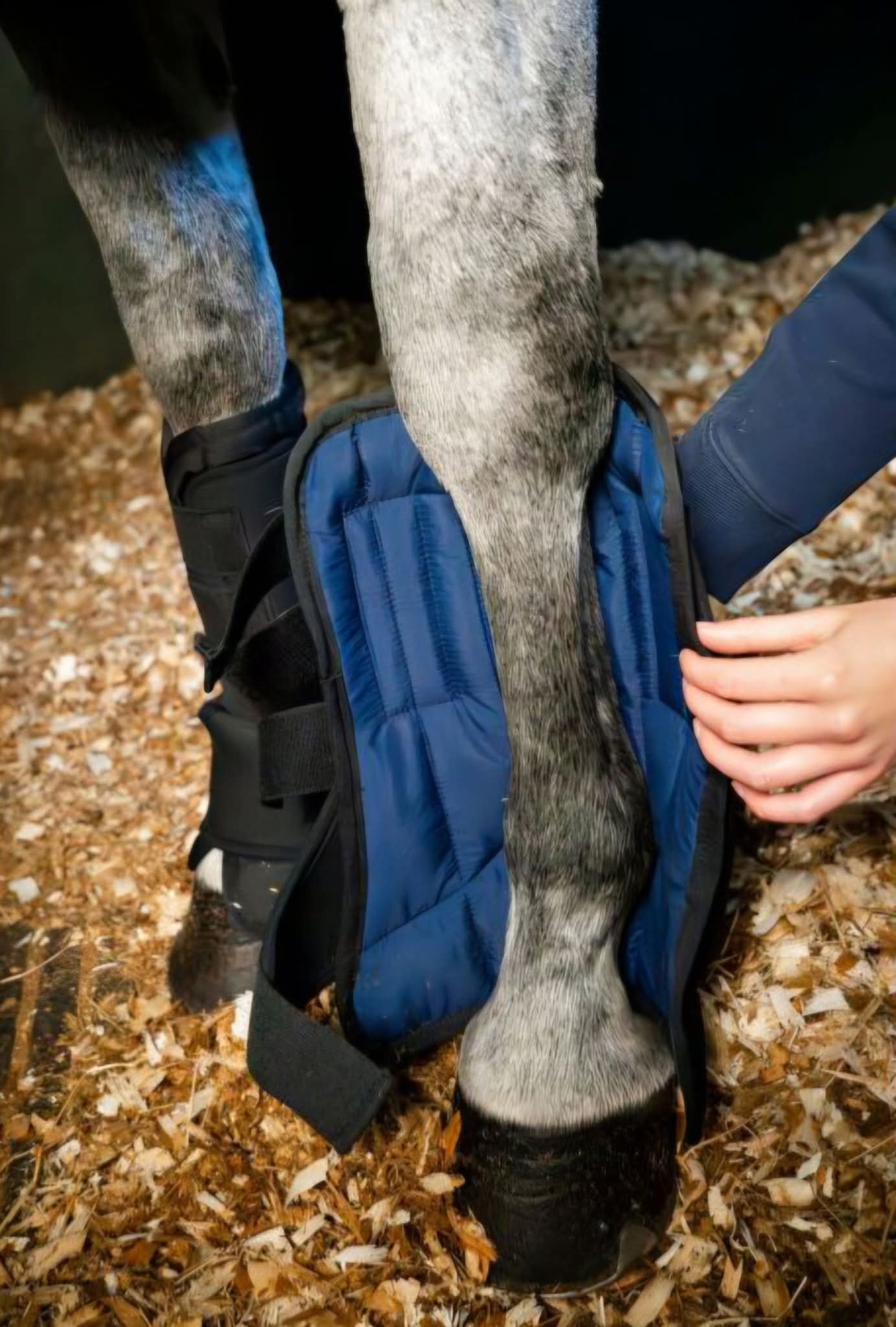 Horseware® Stable Boot Ionic Liner