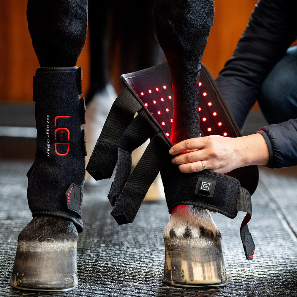 Horseware LED Red Light Therapy Leg Wrap