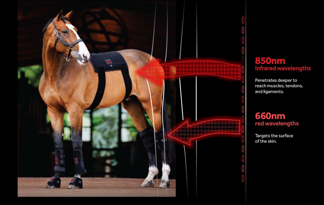 The Horseware® LED Red Light Therapy Pad