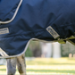 Amigo 1200D Plus Pony Turnout 50g