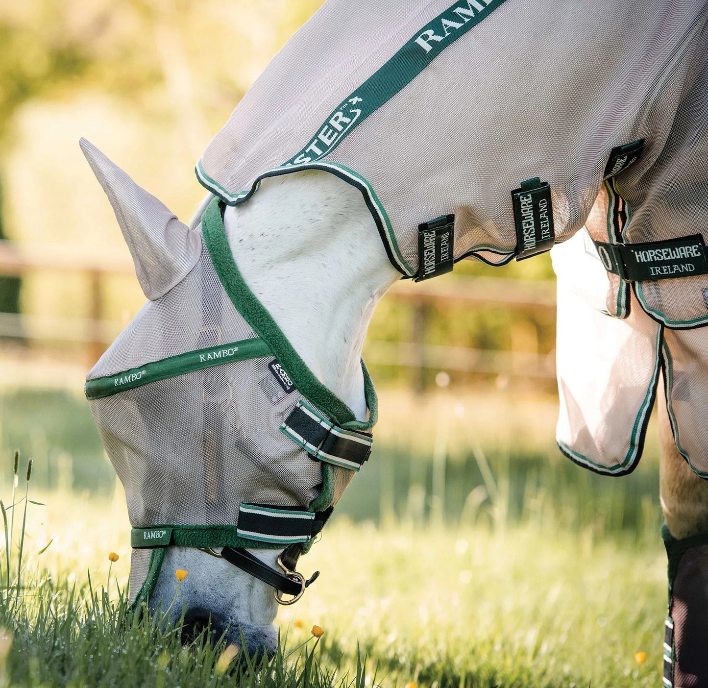 RAMBO FLYMASK PLUS