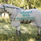 🔖Rambo Flybuster Vamoose AND Waterproof Fly Rug Liner