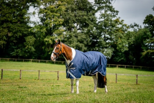 Amigo Bravo 12 XL Turnout 0G Body Rug