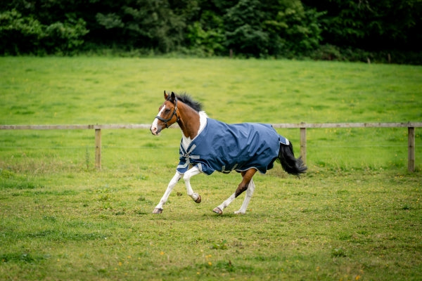Amigo Bravo 12 XL Turnout 0G Body Rug