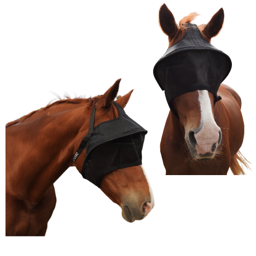 Equivizor™ Solar Veil