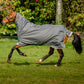 AMIGO BRAVO 12 PLUS MEDIUM 250G WITH 150G DETACHABLE NECK RUG