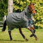 AMIGO BRAVO 12 PLUS MEDIUM 250G WITH 150G DETACHABLE NECK RUG