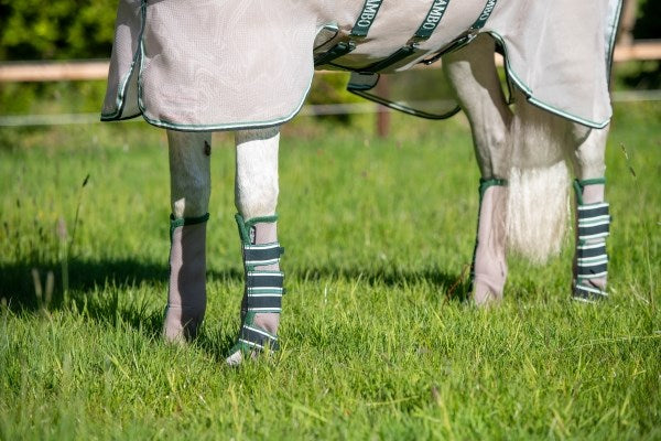 Horseware Flyboots