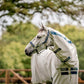 Horseware Field Safe Headcollar