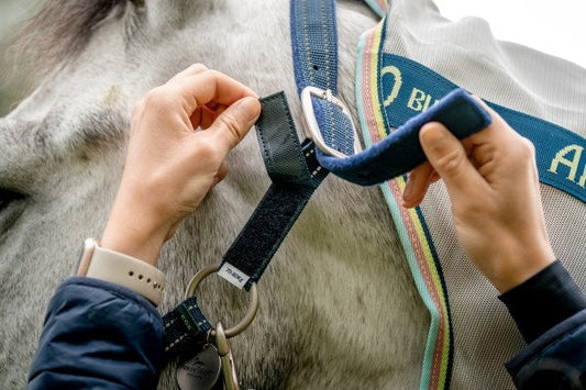 Horseware Field Safe Headcollar