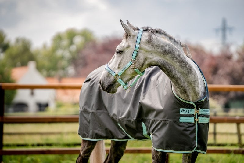 Horseware Field Safe Headcollar