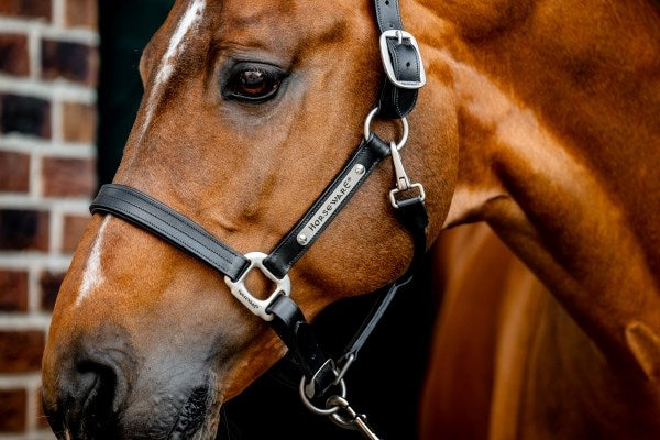 🔖Horseware Ireland Signature Leather Headcollar