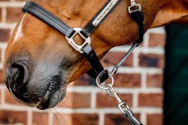 🔖Horseware Ireland Signature Leather Headcollar