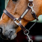 🔖Horseware Ireland Signature Leather Headcollar
