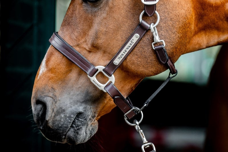 🔖Horseware Ireland Signature Leather Headcollar