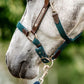 🔖Horseware Ireland Signature Braided Headcollar