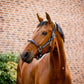 🔖Horseware Signature Competition Headcollar