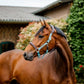 🔖Horseware Signature Competition Headcollar