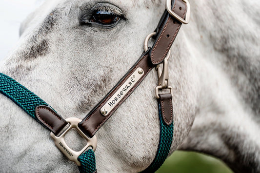 🔖Horseware Ireland Signature Braided Headcollar