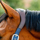 🔖Horseware Signature Competition Headcollar