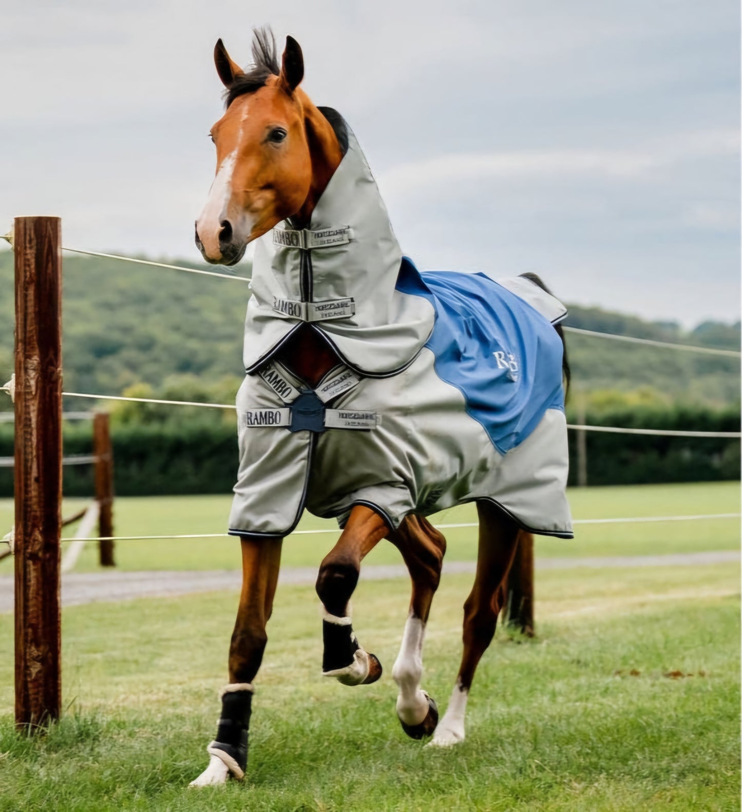 Rambo Autumn Series Turnout