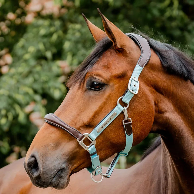 🔖Horseware Signature Competition Headcollar