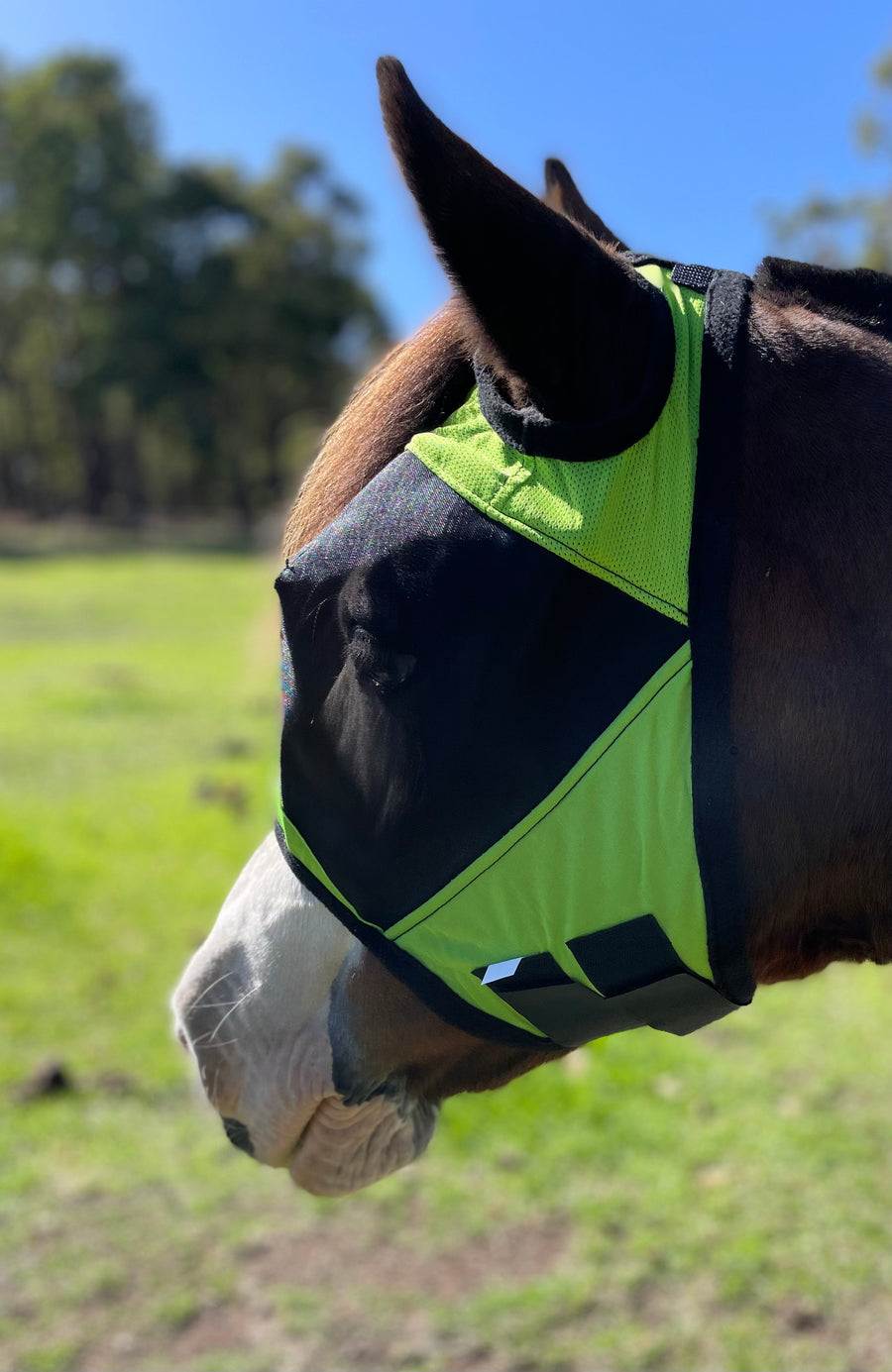 CASHEL CRUSADER & FLY BUSTER FLY MASKS FOR COB, HORSE, WB & DRAFT