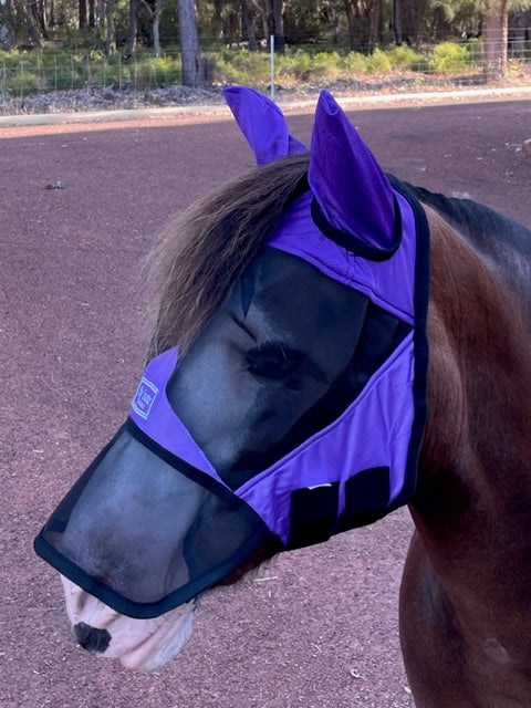 CASHEL CRUSADER & FLY BUSTER FLY MASKS FOR COB, HORSE, WB & DRAFT