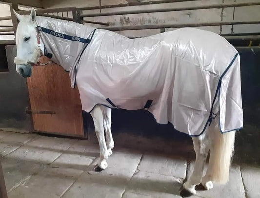 MIO PONY FLY RUG WITH INTERGRATED NECK